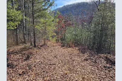 51 Kudzu Creek Trail, Murphy, NC 28906 - Photo 3