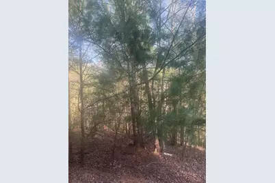 Lot 12 Rainbow Valley Drive, Murphy, NC 28906 - Photo 7