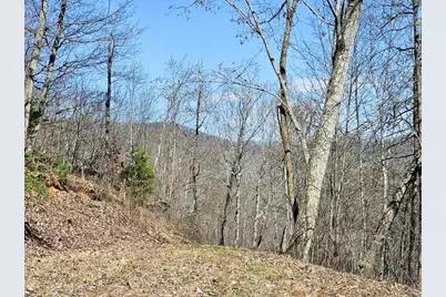 Lot 39 Merlin Trl / Warbler Road, Murphy, NC 28906 - Photo 7