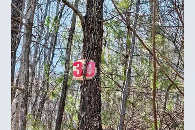 Lot 39 Merlin Trl / Warbler Road, Murphy, NC 28906 - Photo 19