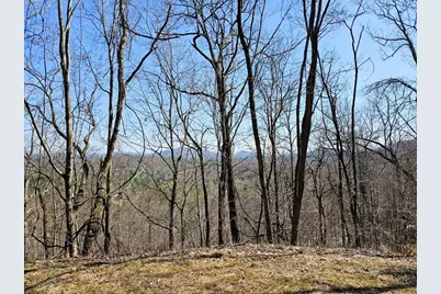 Lot 39 Merlin Trl / Warbler Road, Murphy, NC 28906 - Photo 3