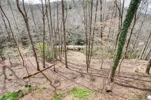 575 Carolina Springs Ln, Franklin, NC 28734 - Photo 51