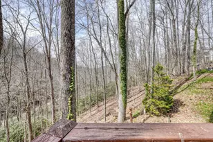 575 Carolina Springs Ln, Franklin, NC 28734 - Photo 55