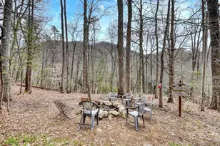 575 Carolina Springs Ln, Franklin, NC 28734 - Photo 9
