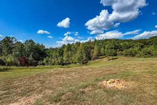 10007 Joe Brown Hwy, Murphy, NC 28906 - Photo 3