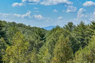 10007 Joe Brown Hwy, Murphy, NC 28906 - Photo 1