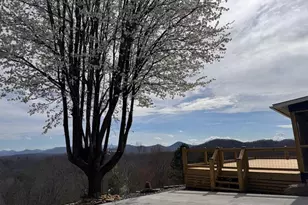 355 Up the Creek Trail, Hayesville, NC 28904 - Photo 15