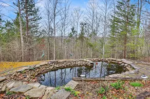 368 Sierra Springs Dr, Murphy, NC 28906 - Photo 61