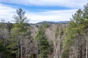 325 River Mountain Rd, Murphy, NC 28906 - Photo 37