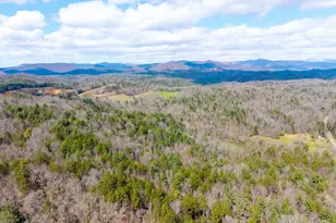 1669 Hiwassee Dam Access Rd, Murphy, NC 28906 - Photo 3