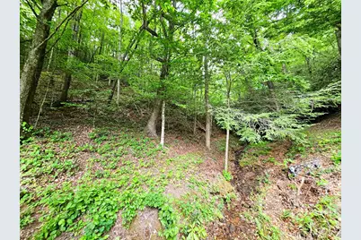 45 Sulpher Lane, Andrews, NC 28901 - Photo 13