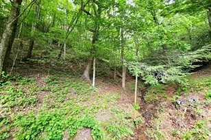 45 Sulpher Ln, Andrews, NC 28901 - Photo 13