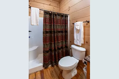 94 Bear Creek Cove, Topton, NC 28781 - Photo 3