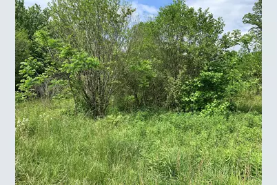 17.76 Ac Greasy Creek Road, Murphy, NC 28906 - Photo 3