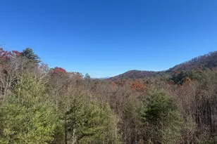 687 Point Overlook Trl, Murphy, NC 28906 - Photo 5
