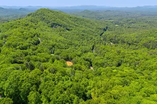 124 U Drive Road, Murphy, NC 28906 - Photo 49