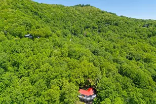 124 U Drive Road, Murphy, NC 28906 - Photo 47