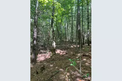 Lot 6&7 Donley Road, Murphy, NC 28906 - Photo 5