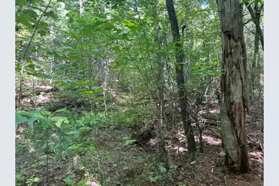 Lot 6&7 Donley Road, Murphy, NC 28906 - Photo 9