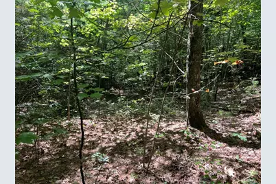 Lot 6&7 Donley Road, Murphy, NC 28906 - Photo 11