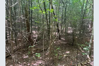 Lot 6&7 Donley Road, Murphy, NC 28906 - Photo 7