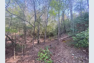 11 Ludlum Drive, Hayesville, NC 28904 - Photo 19