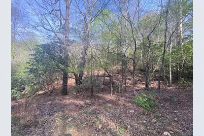 11 Ludlum Drive, Hayesville, NC 28904 - Photo 17