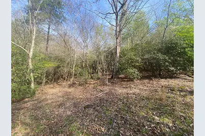 11 Ludlum Drive, Hayesville, NC 28904 - Photo 5