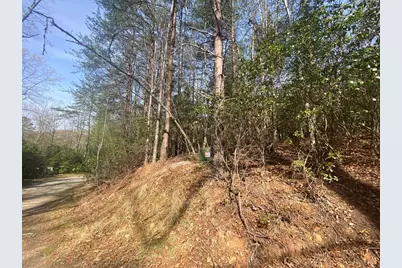11 Ludlum Drive, Hayesville, NC 28904 - Photo 21