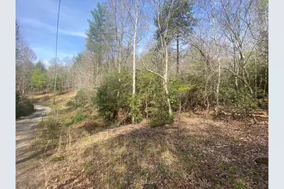 11 Ludlum Drive, Hayesville, NC 28904 - Photo 13