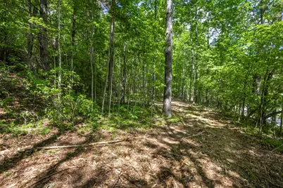 4.2 Acre Donley Road, Murphy, NC 28906 - Photo 15
