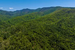 45 Black Bear Trce, Murphy, NC 28906 - Photo 53