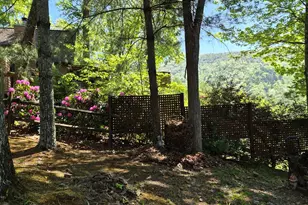 45 Black Bear Trce, Murphy, NC 28906 - Photo 45