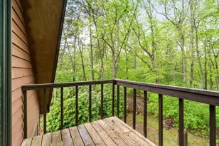206 Ivy Knob Ln, Hayesville, NC 28904 - Photo 9