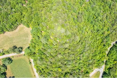 4.0 Acre Donley Road, Murphy, NC 28906 - Photo 5