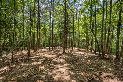 4.0 Acre Donley Road, Murphy, NC 28906 - Photo 9