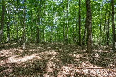 20 Ac Pack Mountain Road, Murphy, NC 28906 - Photo 7