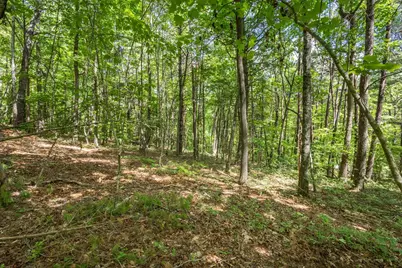 20 Ac Pack Mountain Road, Murphy, NC 28906 - Photo 3