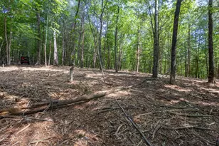 20 Ac Pack Mountain Rd, Murphy, NC 28906 - Photo 1