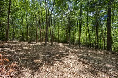 20 Ac Pack Mountain Road, Murphy, NC 28906 - Photo 13
