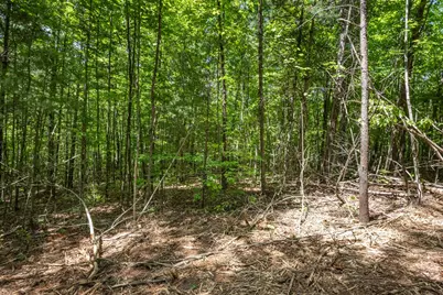 20 Ac Pack Mountain Road, Murphy, NC 28906 - Photo 15