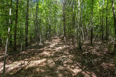 20 Ac Pack Mountain Road, Murphy, NC 28906 - Photo 11