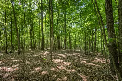 20 Ac Pack Mountain Road, Murphy, NC 28906 - Photo 9