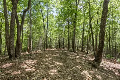 4.3 Ac Donley Road, Murphy, NC 28906 - Photo 5