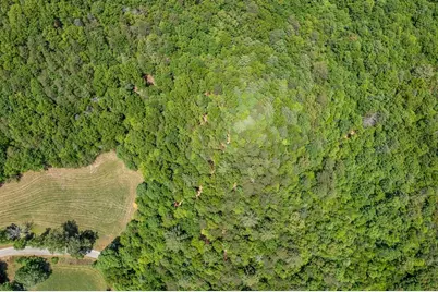 4.3 Ac Donley Road, Murphy, NC 28906 - Photo 13