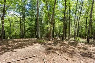 4 3 Ac Donley Rd, Murphy, NC 28906 - Photo 1