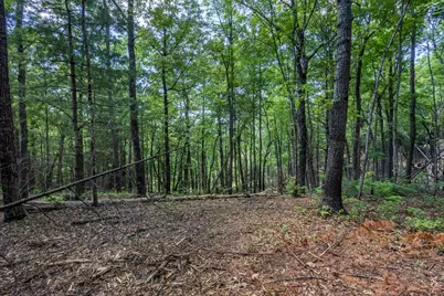 4.3 Ac Donley Road, Murphy, NC 28906 - Photo 3