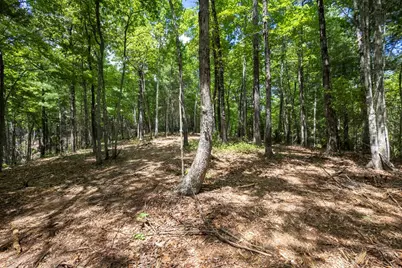 4.3 Ac Donley Road, Murphy, NC 28906 - Photo 9