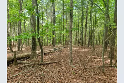 44 Sugar Maple Road, Murphy, NC 28906 - Photo 7