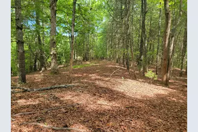 44 Sugar Maple Road, Murphy, NC 28906 - Photo 3